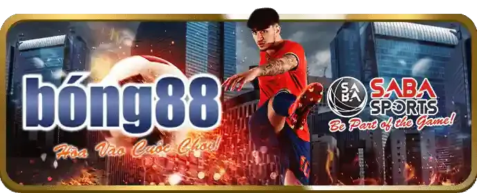Tổng quan về nền tảng cá cược trực tuyến D88